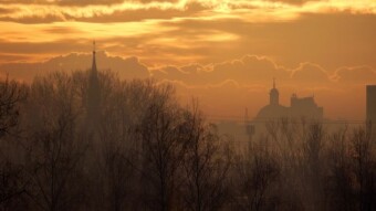 A beautiful morning wake-up call and a beautiful day in the park - My Actifit Report Card: January 7 2023
