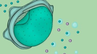 Scientists' Develops A Reusable and more Effective alternative to N-95 Mask