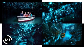 🌌 Glowworm Grotto: New Zealand’s Magical Cave
