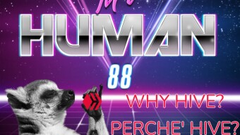 Why Hive? / Perché Hive?
