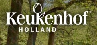 Visit the "Keukenhof" in Lisse Netherlands