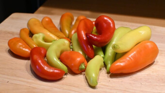 Balcony crops - August summary and the first harvest