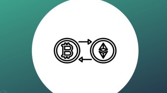 Is maximalism healthy for cryptocurrency and blockchain adoption?