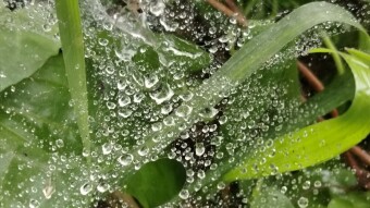 WATER DROPS Photography.