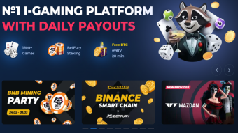 Betfury payment proofs