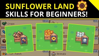 Sunflower Land 🌻 | What are The Best Skills for Beginners?