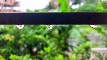 WATER DROPS