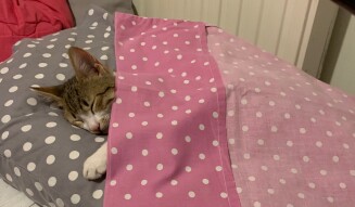 He says was a cold night last night LOCOstories #1