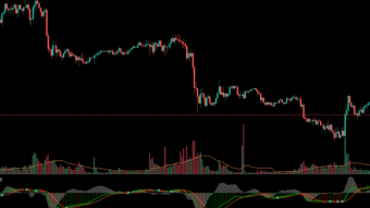 The oscillator and degenerator hypothesis | Altcoin Investment