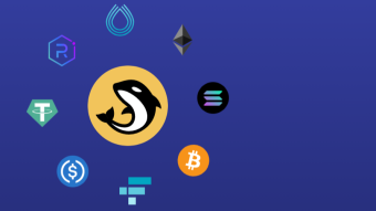 Orca DEX - ethos, first governance vote, and native collectibles