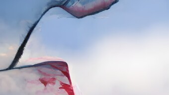 Short story 3 - based on a dream I had on 02/01/2023 – I will name it “The scream”