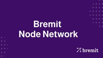 Bremit, Pre-sale Of BRMT Tokens - Make 20% Profit With Ease Fast + Good Ways To a Passive Income!