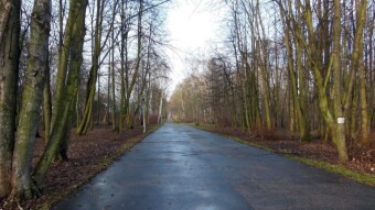 Quite a successful Friday, no rain and a lot of sun - My Actifit Report Card: January 5 2024