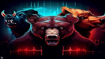 After the Bear Market comes......𝗧𝗵𝗲 𝗕𝗼𝗿𝗲 𝗠𝗮𝗿𝗸𝗲𝘁