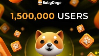 BabyDoge PAWS Airdrop