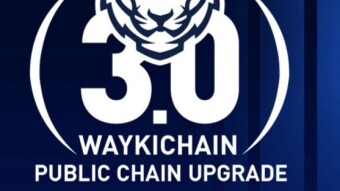 WaykiChain Official Announcement on Public Chain Upgrade