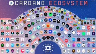 CARDANO cycle begins