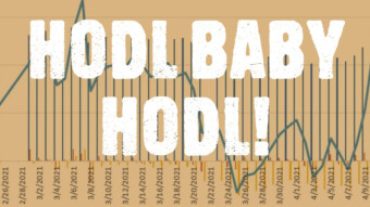 Average Joe Shmoe Crypto Thoughts: HODL