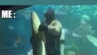 Fishy investments