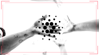 The Rise and Rise of Cardano - Implications for 2022