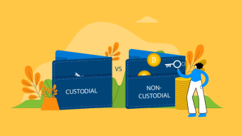 What are custodian and non-custodian crypto-wallets?