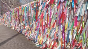 It's a wonderful tradition. The bonds of friendship are bridges across the canals in Aveiro. Portugal.
