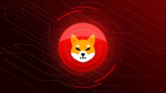 Shiba Inu Drops in Coinbase Volume Rankings. Is SHIB's Popularity Fading?