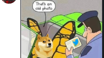 Elon has Changed Twitter Logo, it will effect DOGE$ price?