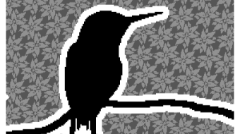 For The Birds. Mystery Card Contest