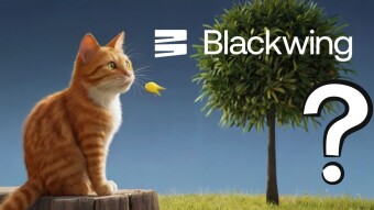 Blackwing, A New Hidden Gem? How To Farm BXP Token Before The Official Launch