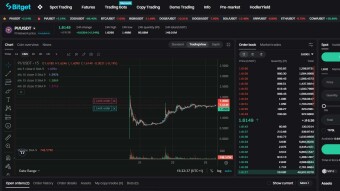 PI Network - many did not believe in this project, but yet it is on the stock exchange