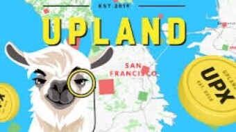My lucky Upland experience