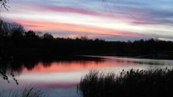 A gloomy morning, but in the afternoon it became autumnal and beautiful again - My Actifit Report Card: November 11 2023