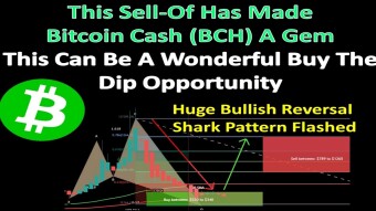 This Sell-Of Has Made Bitcoin Cash (BCH) A Gem | This Can Be A Wonderful Buy The Dip Opportunity