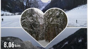 Logarska 2