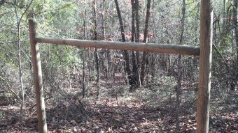 Apocalyptic Homesteading (Day 15)