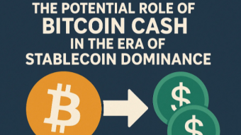 The Potential Role of Bitcoin Cash in the Era of Stablecoin Dominance