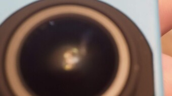 Trevor the Spy