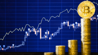 Have you ever wonder which assets have the best ROI in the last decade?