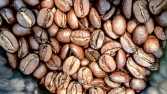 How About Some Moka Pot Coffee?