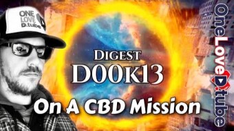 Picking Up What I Can Where I Left Off - D00k13 Digest