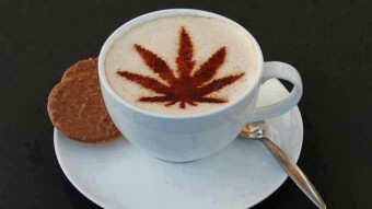Nutritional benefits of hemp seeds Parts 4/5