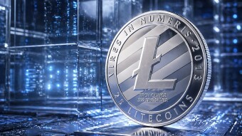 The Thesis: Systematic LTC Accumulation as a Hedge Against Volatility