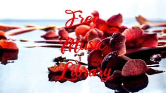 Royalty Free Music Library ♫ The End - Alexander Nakarada