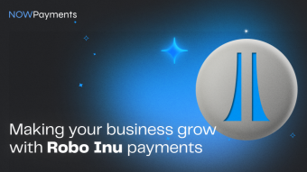 Ways to make your business grow with Robo Inu