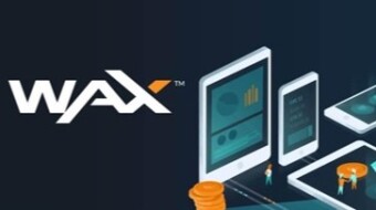 WAX Ecosystem Explained