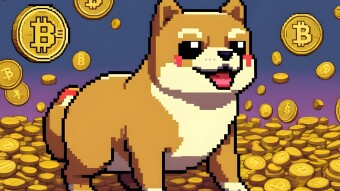Memecoins, once dismissed as mere internet jokes, have emerged as unexpected heroes.