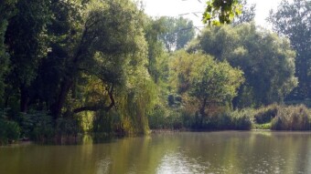 Not so hot anymore, but sultry, and a storm on the way - My Actifit Report Card: August 18 2023