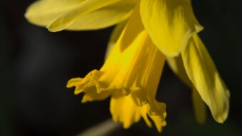 Is It Spring Yet?