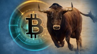 FOMO feeling  In The Crypto Market Is Increasing: Why Analysts Predict BTC Superbull Rally